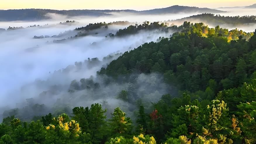 Discover Northeast China’s Hidden Forest Paradise Adventure