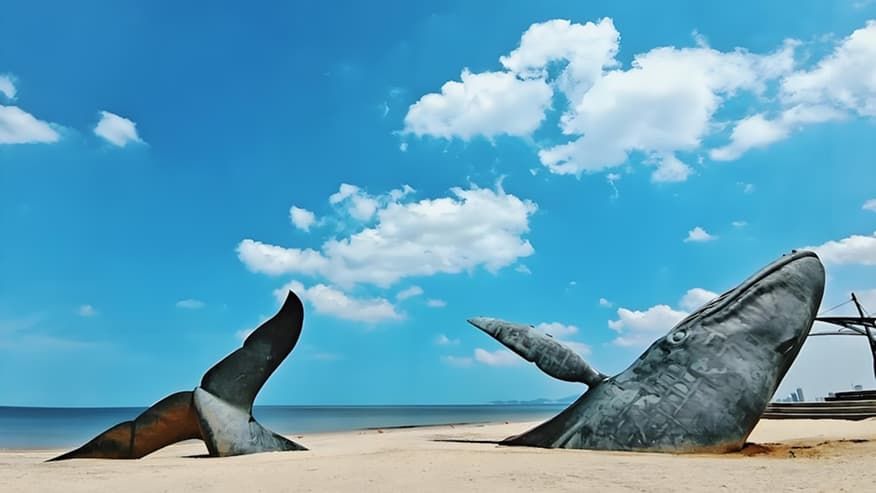 Discover Shandong’s Coastal Treasures and Ancient Wonders